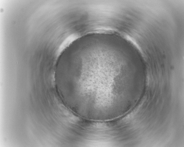 X0000088921362200706221944