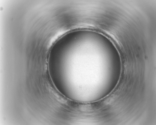 X0000088921363200706221944