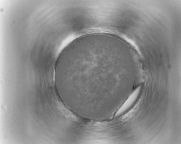 X0000088921365200706221944