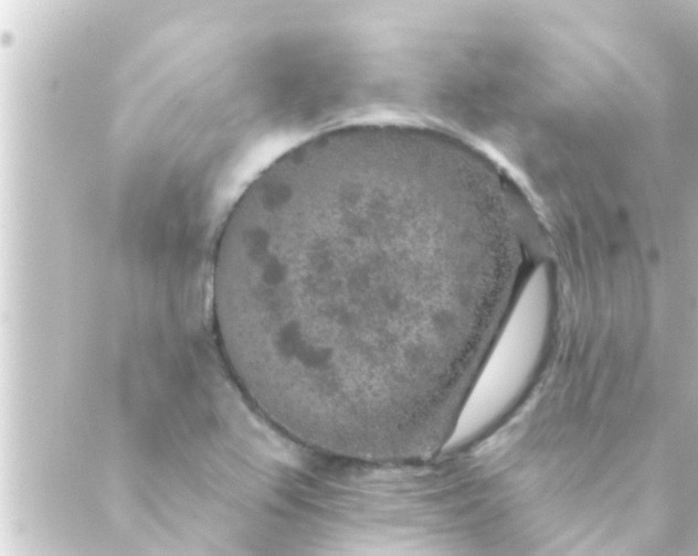 X0000088921367200706221944