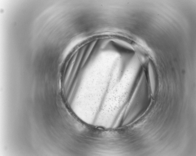 X0000088921368200706221944