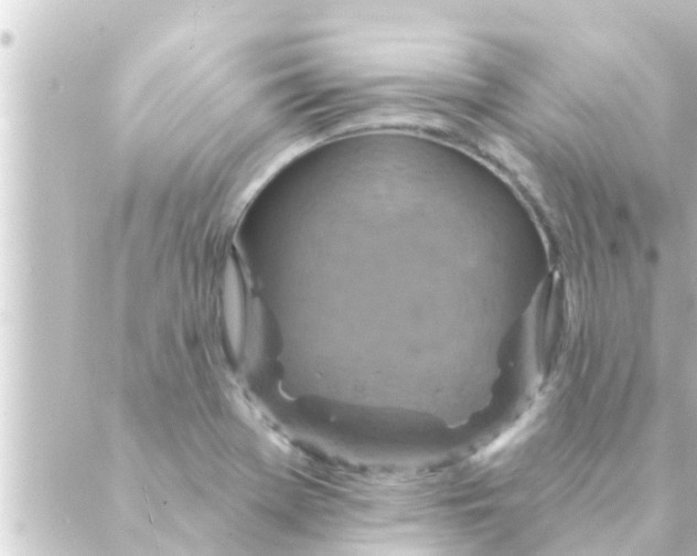 X0000088921369200706221944