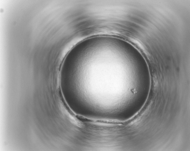 X0000088921371200706221944