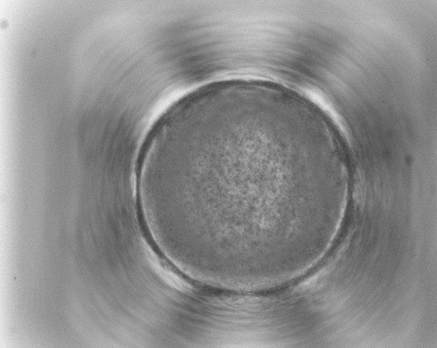 X0000088921372200706221944