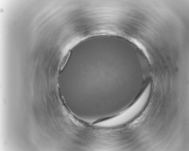 X0000088921373200706221944