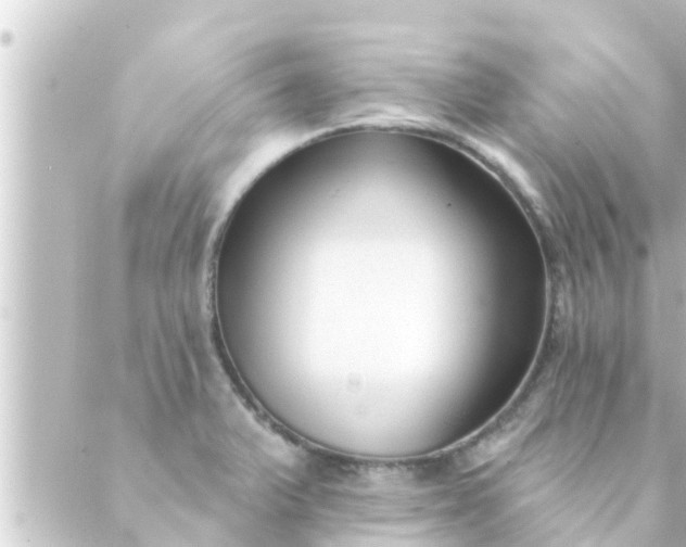 X0000088921375200706221944