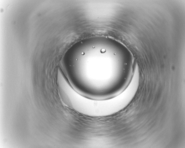 X0000088921441200706221942