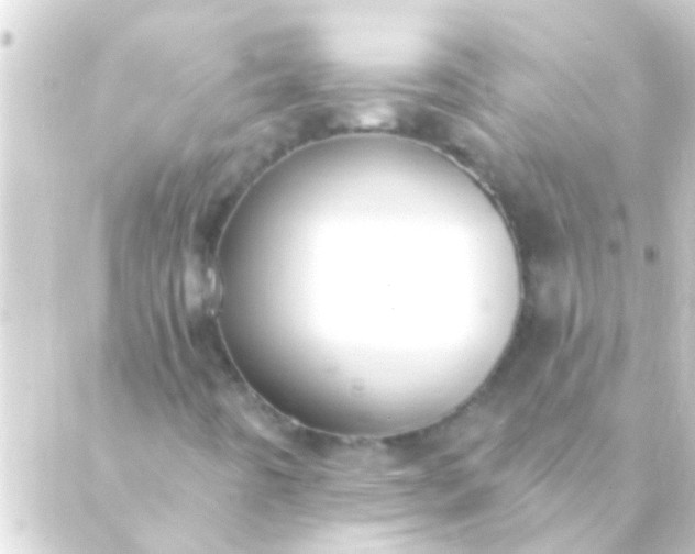 X0000088921442200706221942