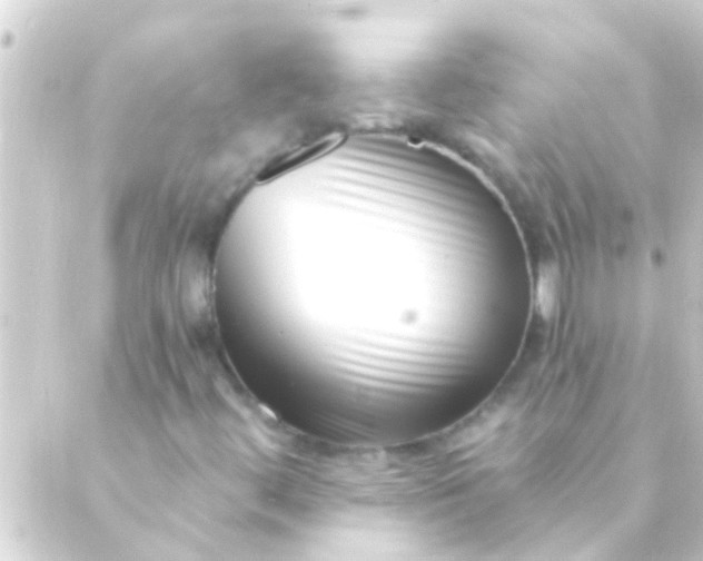 X0000088921444200706221942