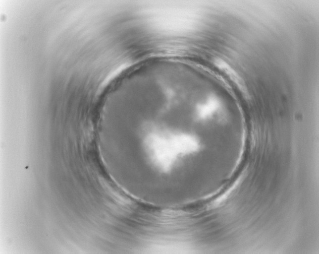 X0000088921449200706221942