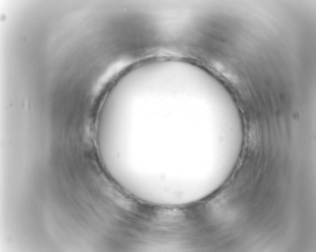 X0000088921454200706221942