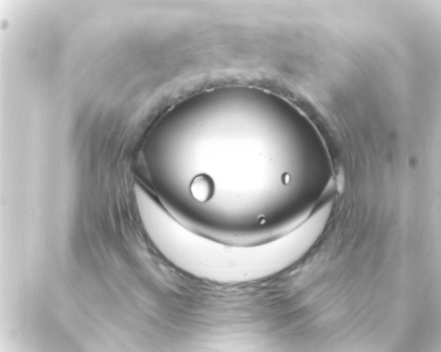 X0000088921492200706221941