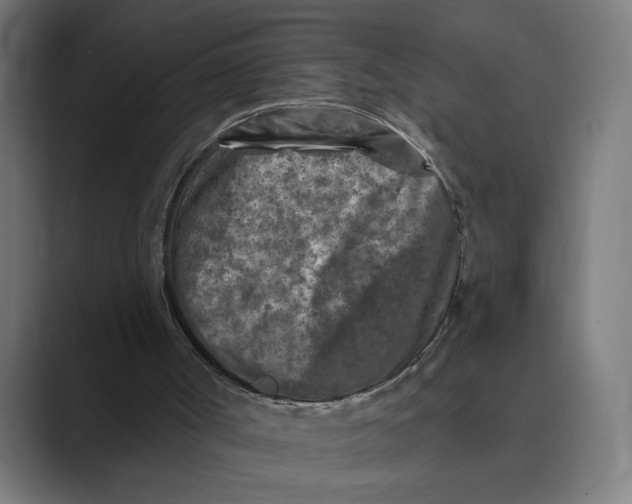 X0000088920002200706291535