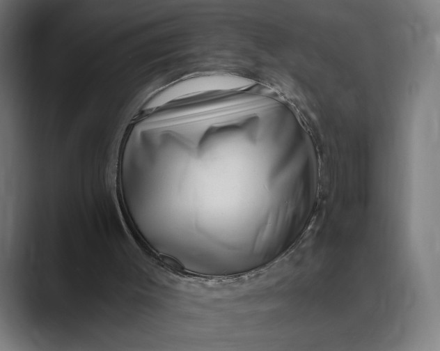 X0000088920003200706291535
