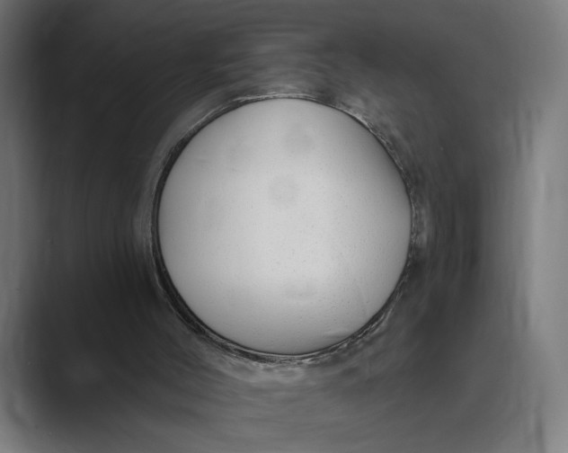 X0000088920004200706291535
