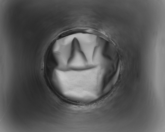 X0000088920005200706291535