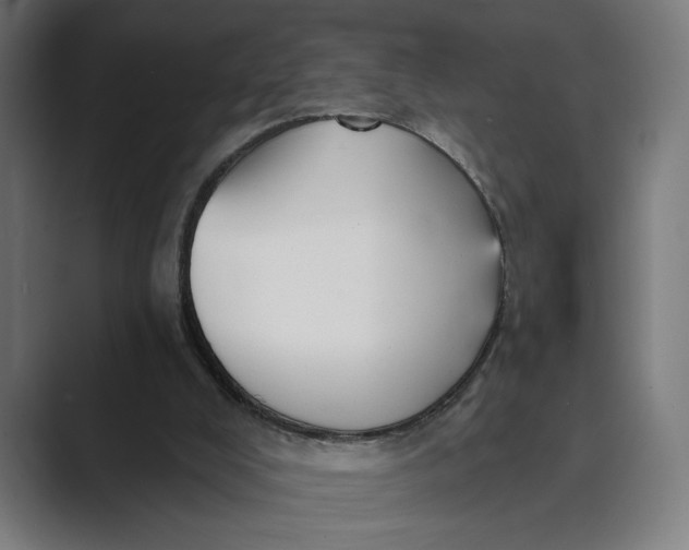 X0000088920008200706291535