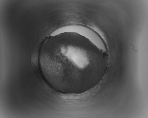 X0000088920009200706291535