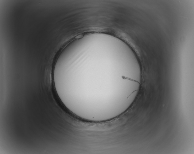 X0000088920011200706291535