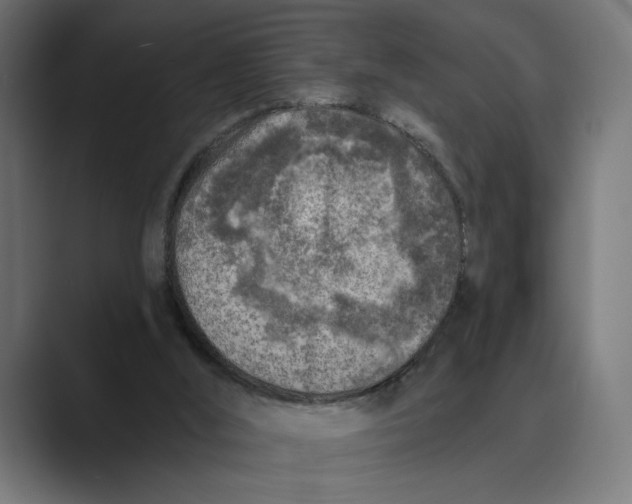 X0000088920012200706291535