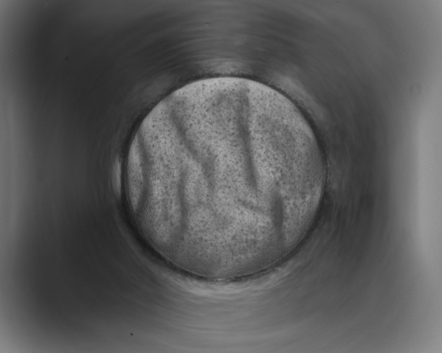 X0000088920014200706291535