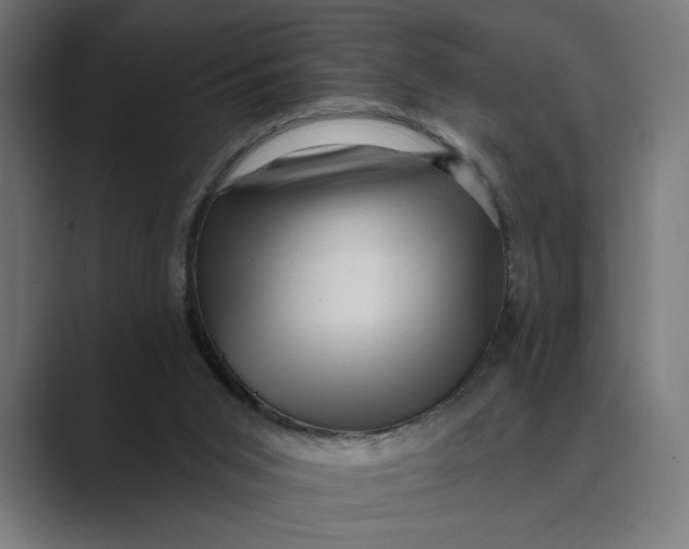 X0000088920015200706291535