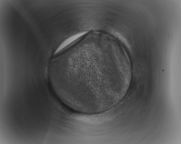 X0000088920017200706291535