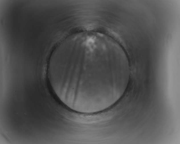 X0000088920018200706291535
