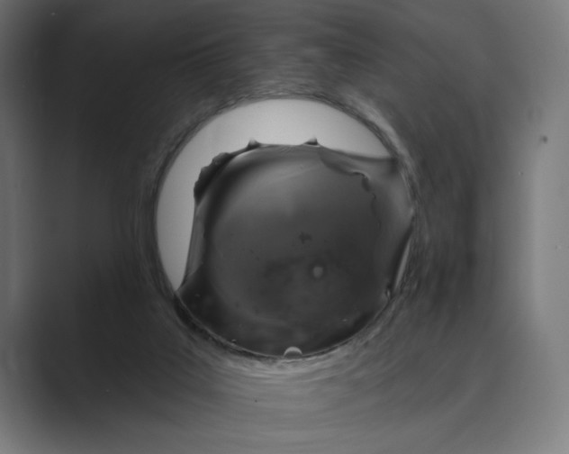 X0000088920019200706291535