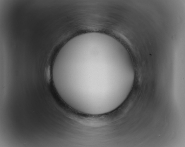 X0000088920020200706291535