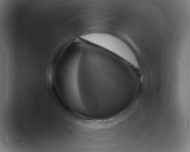 X0000088920023200706291535