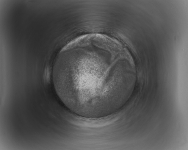 X0000088920026200706291535