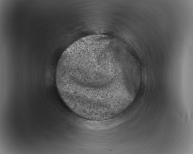 X0000088920030200706291535