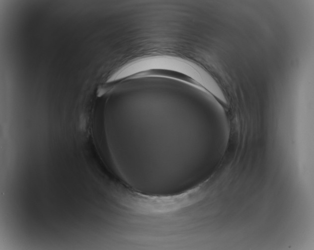 X0000088920031200706291535