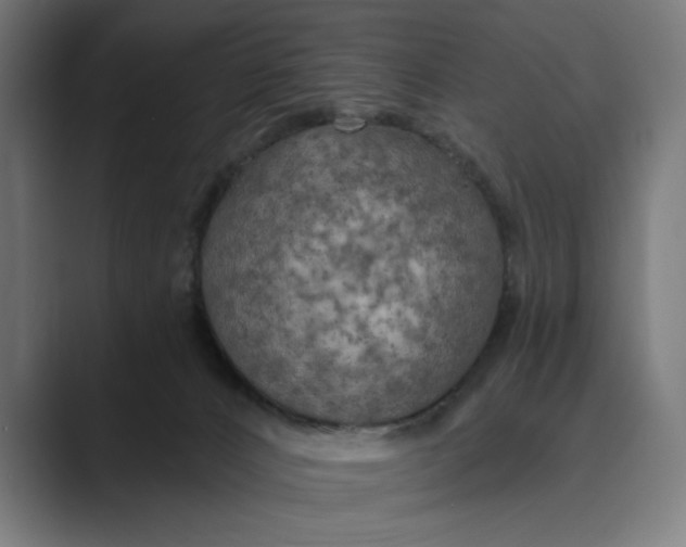 X0000088920032200706291535