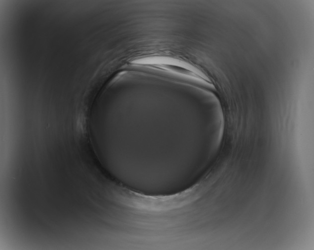 X0000088920035200706291535