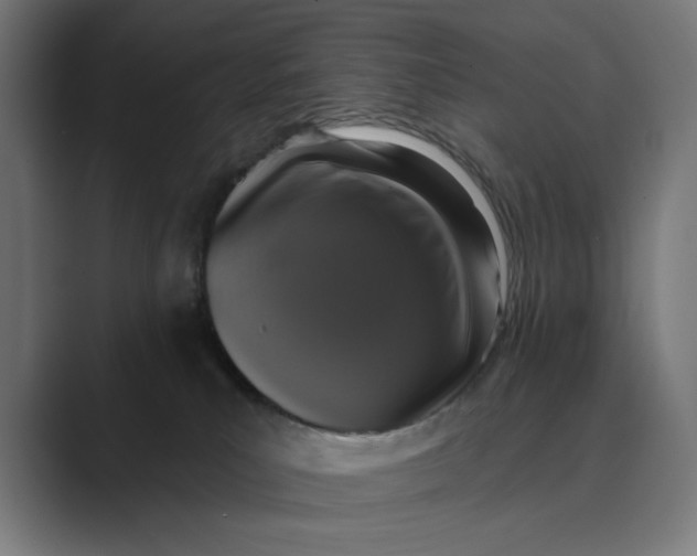 X0000088920039200706291535