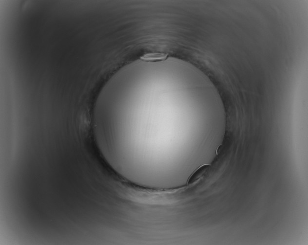 X0000088920040200706291535