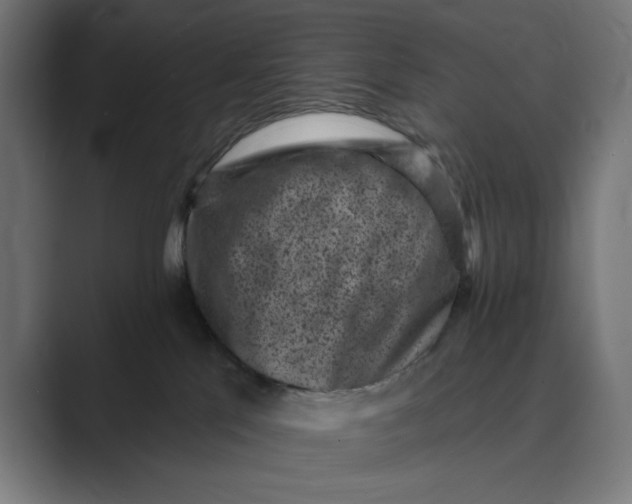 X0000088920041200706291535