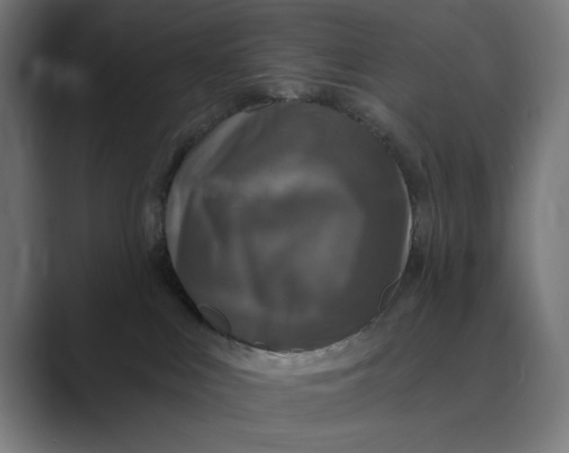 X0000088920043200706291535