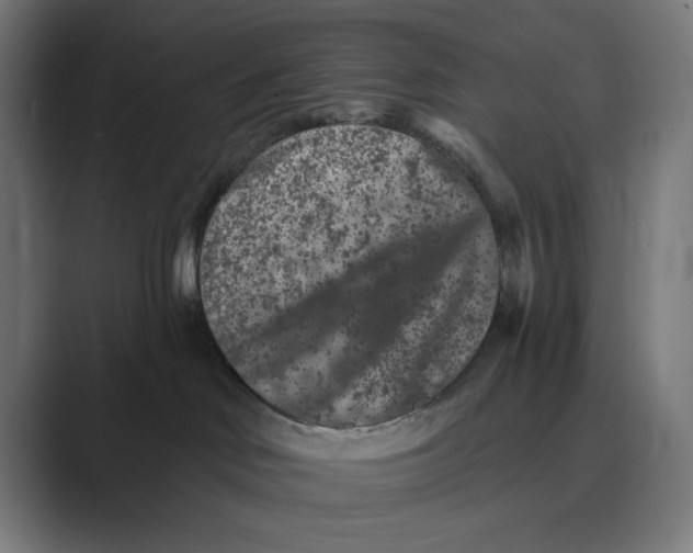 X0000088920046200706291535