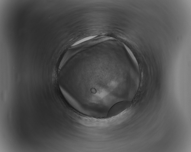 X0000088920048200706291535