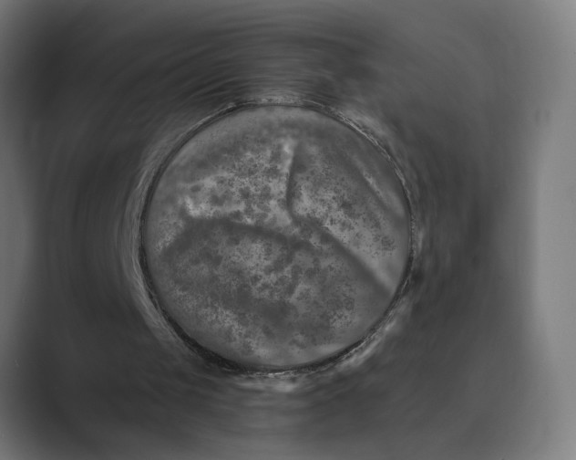 X0000088920049200706291534