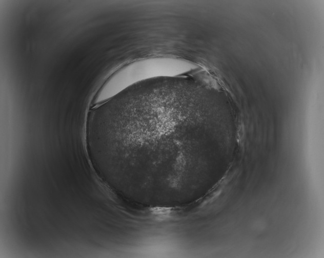 X0000088920052200706291534