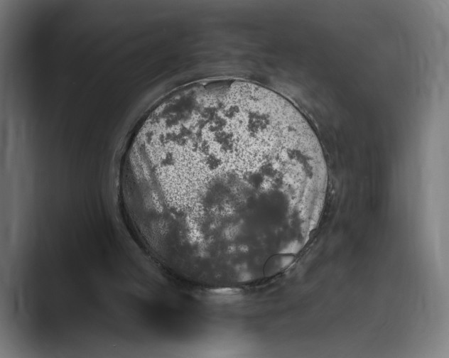 X0000088920053200706291534