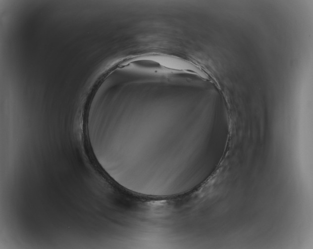 X0000088920054200706291534