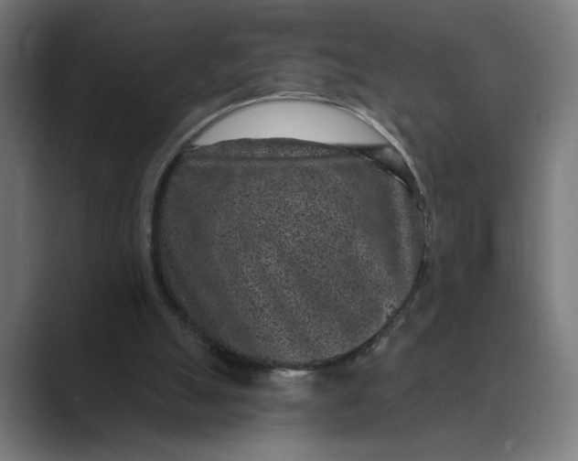 X0000088920055200706291534