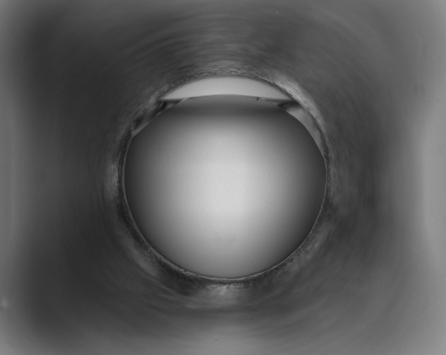 X0000088920057200706291534