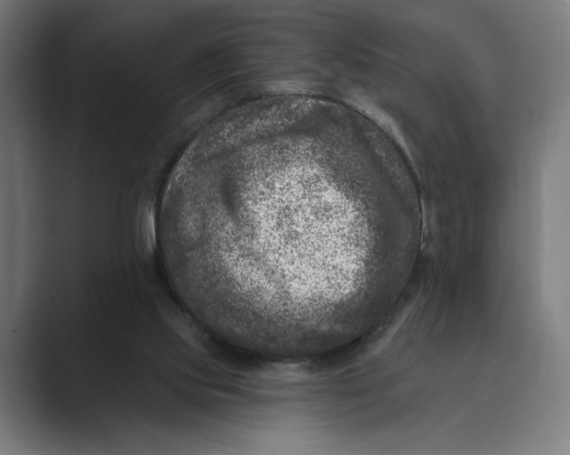X0000088920061200706291534