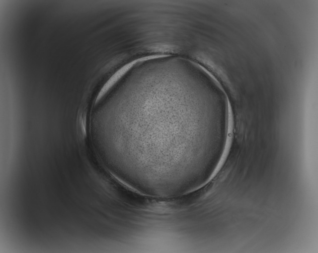 X0000088920062200706291534